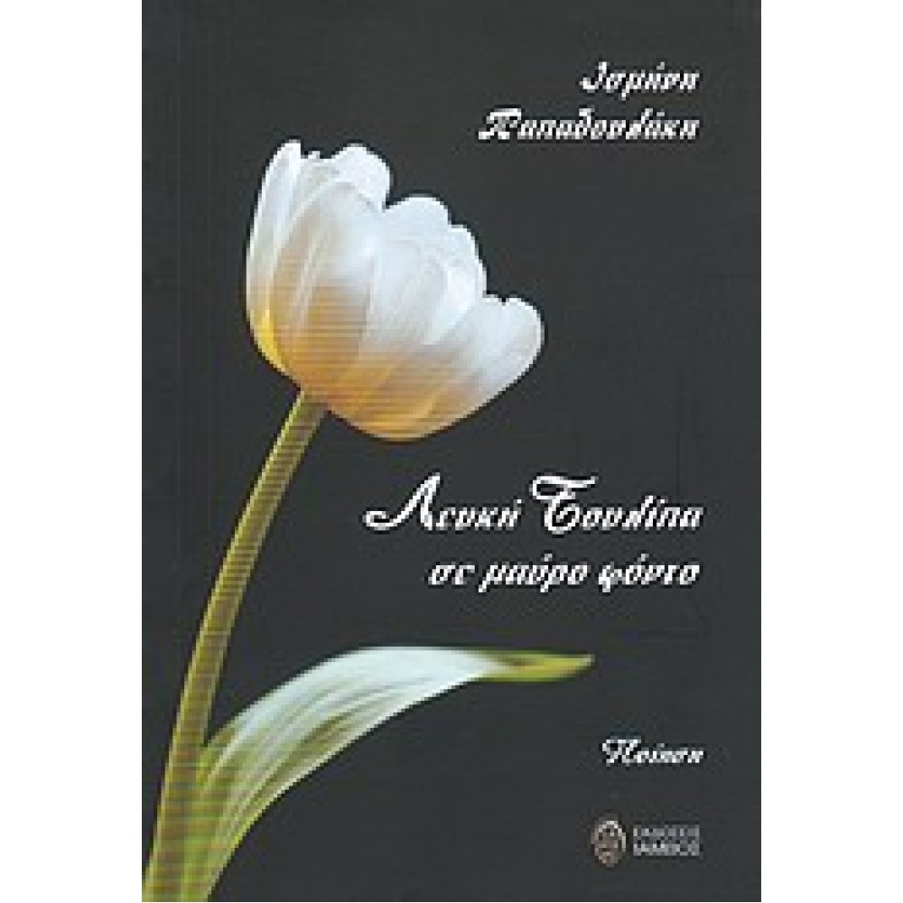 Λευκή τουλίπα σε μαύρο φόντο